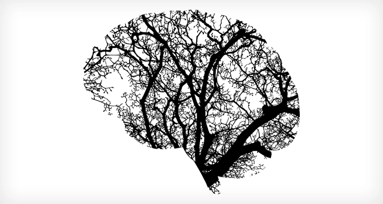Los sistemas ERP incorporan el uso de la Inteligencia Artificial Los sistemas ERP incorporan el uso de la Inteligencia Artificial