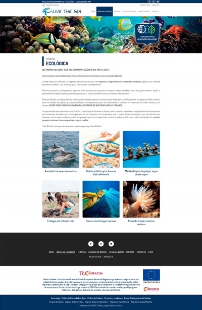 Desarollo de sitio web clasificado Live The Sea