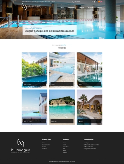 Diseño de páginas web para Bluandgrin