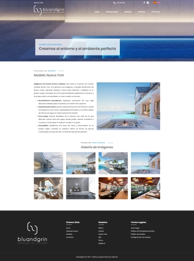 Diseño de páginas web para Bluandgrin