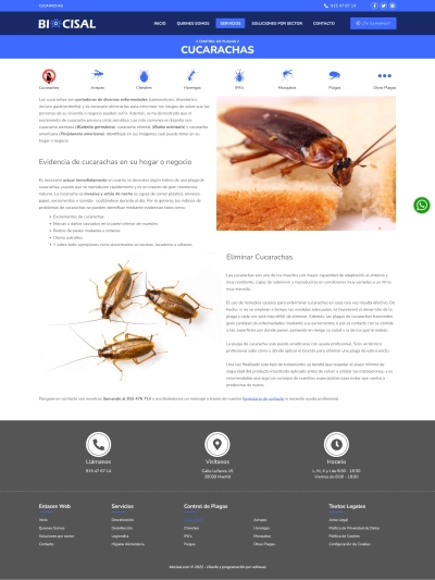 Diseño de pagina web corporativa Biocisal