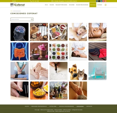 Desarrollo web a medida para Cofenat